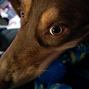 Meet your Posher, Saavan patel